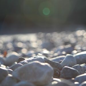 Meet your Posher, Lucy